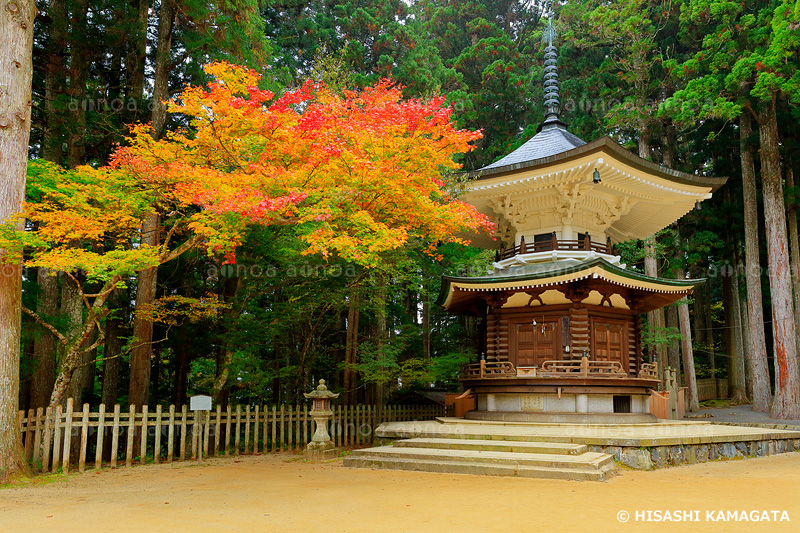 高野山真言宗 総本山金剛峯寺　六角経蔵　　　紀伊山地の霊場と参詣道　和歌山県　10月