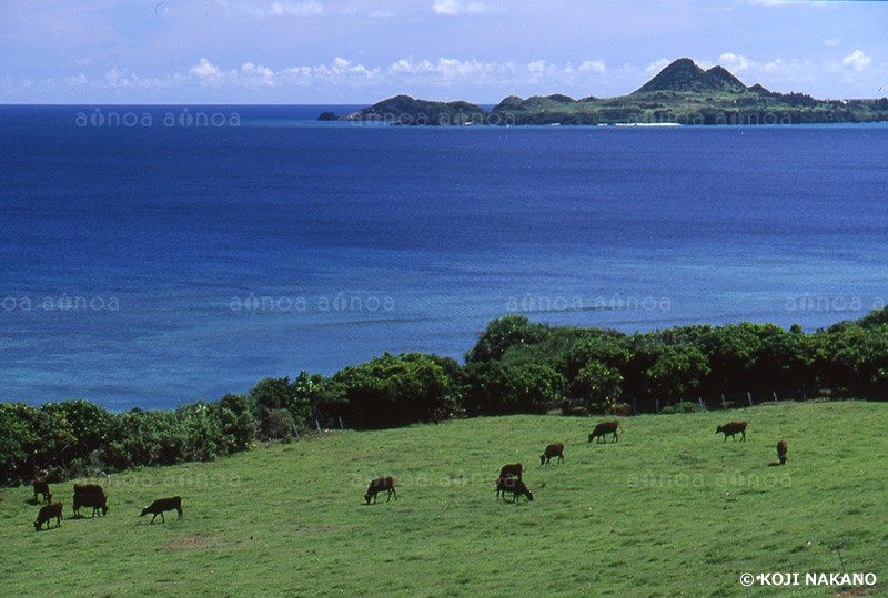 石垣島　沖縄県　7月