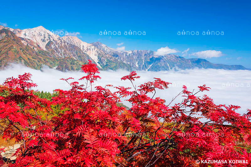 八方尾根と白馬三山　長野県　9月