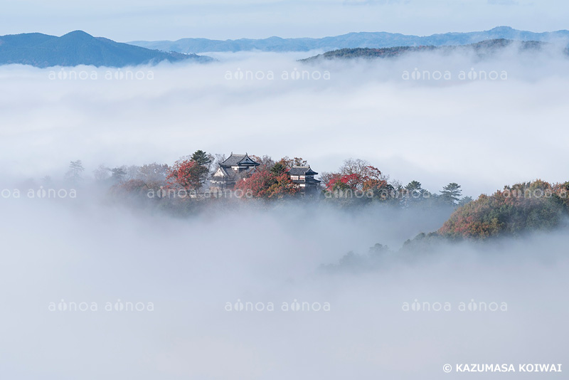 備中松山城　岡山県　11月