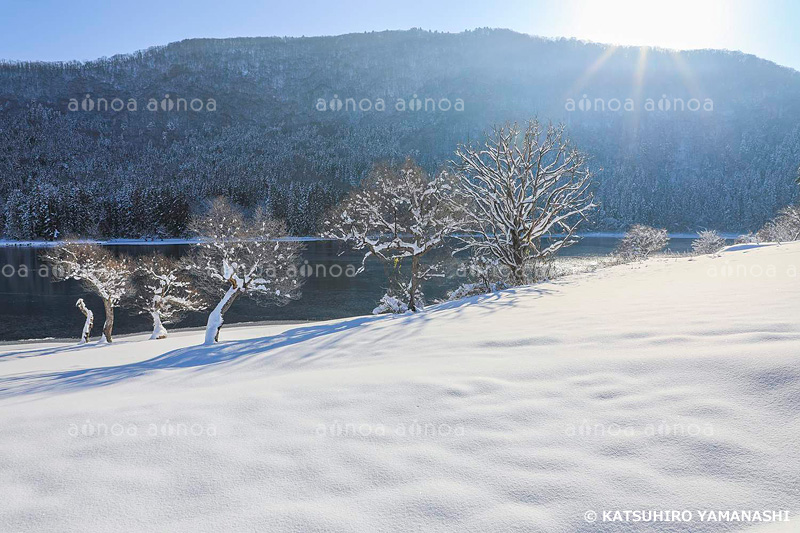 雪の北竜湖　長野県　12月