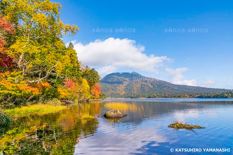 尾瀬沼と燧ヶ岳　群馬県　10月