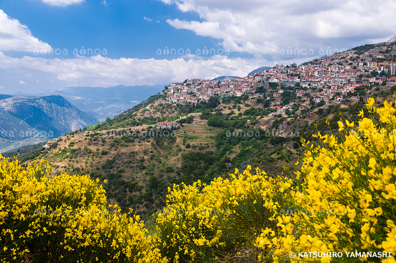 エニシダの花とアラホバの町　ギリシャ　5月
