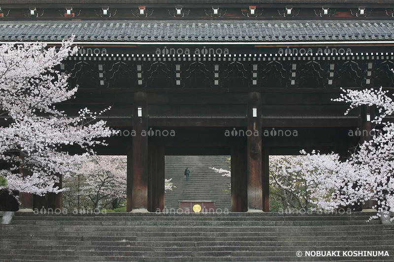 知恩院　三門京都府　4月