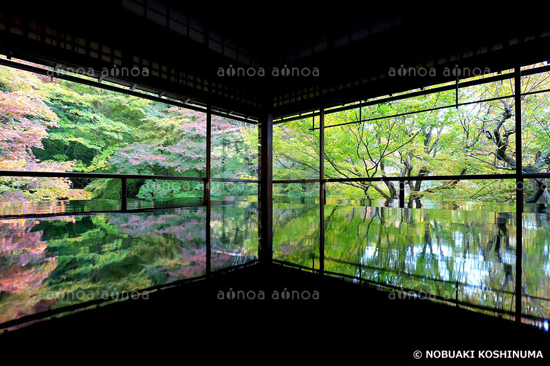 瑠璃光院　京都府　11月