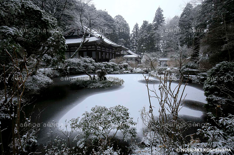 岩船寺　京都府　2月