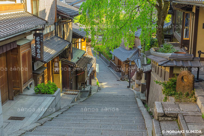 新緑の産寧坂　京都府　4月