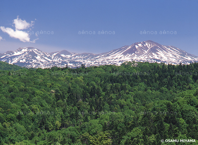 新緑と大雪山連峰　北海道　春