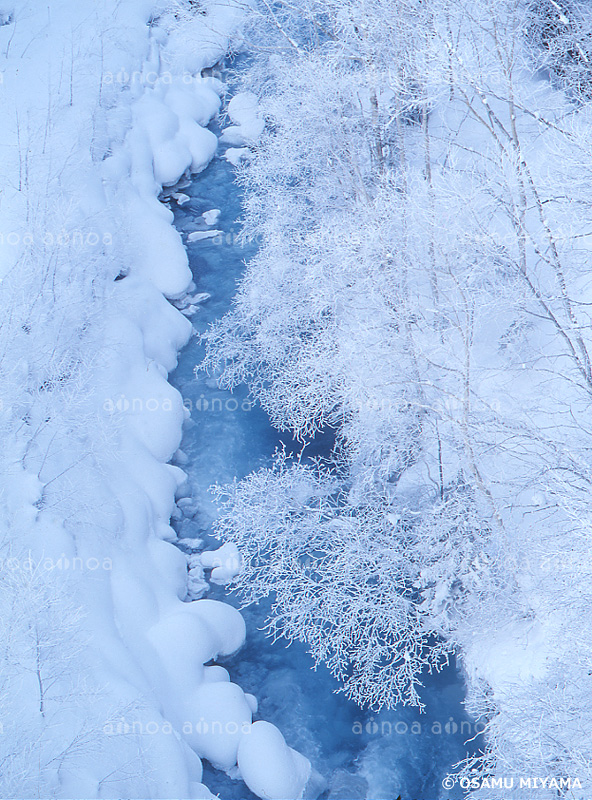霧氷の美瑛川　北海道　2月