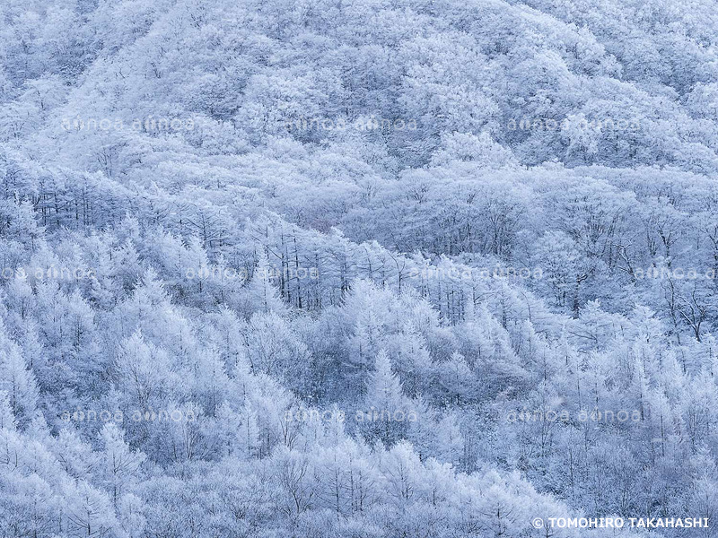 土湯峠　福島県　12月