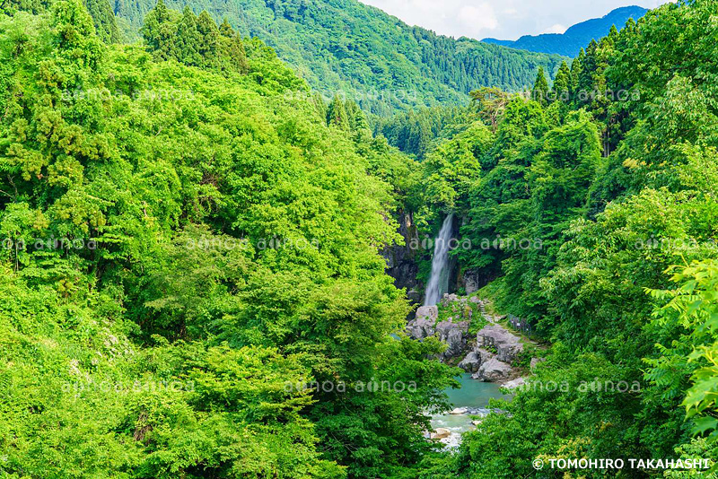 手取峡谷　石川県　6月