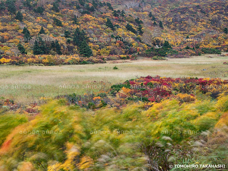 栗駒山　岩手県　10月