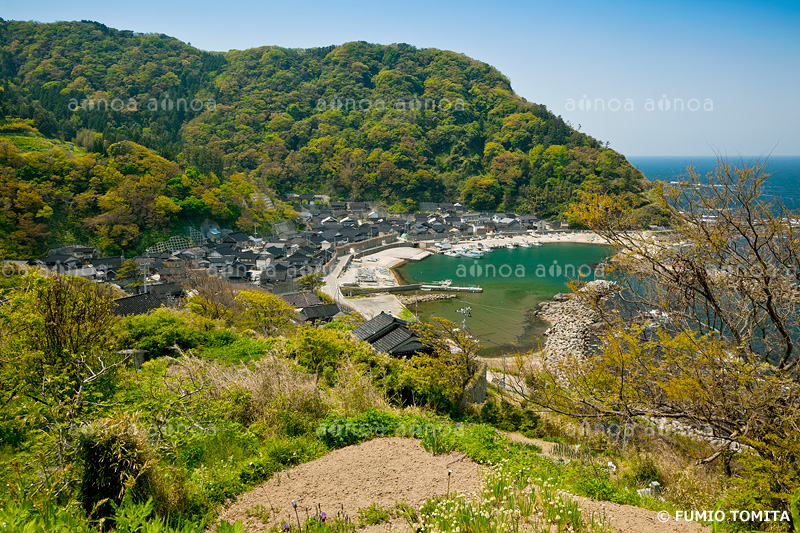 新緑の大沢集落　石川県　5月