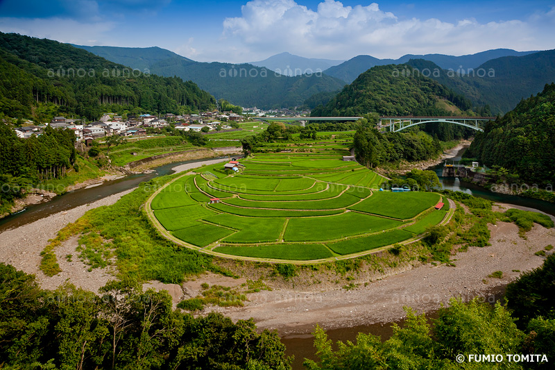 夏のあらぎ島　和歌山県　7月