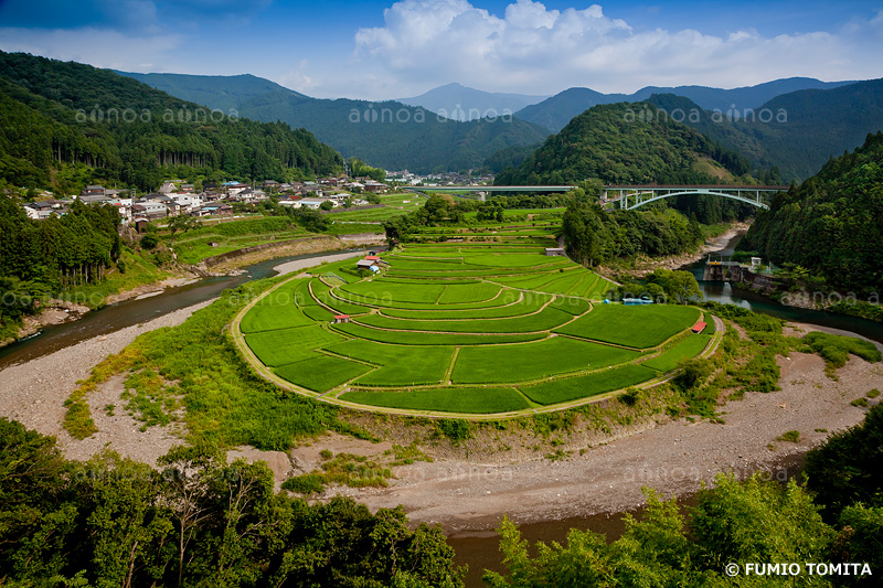 夏のあらぎ島　和歌山県　7月