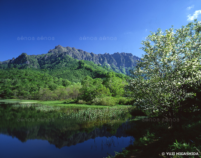 鏡池と戸隠山　長野県　5月