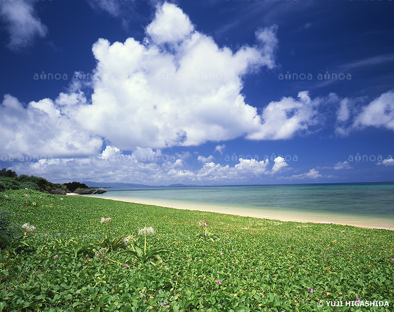 夏雲と平久保の海岸　沖縄県　6月