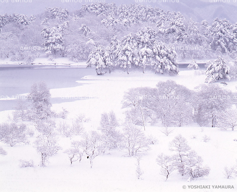 小野川湖　福島県　2月