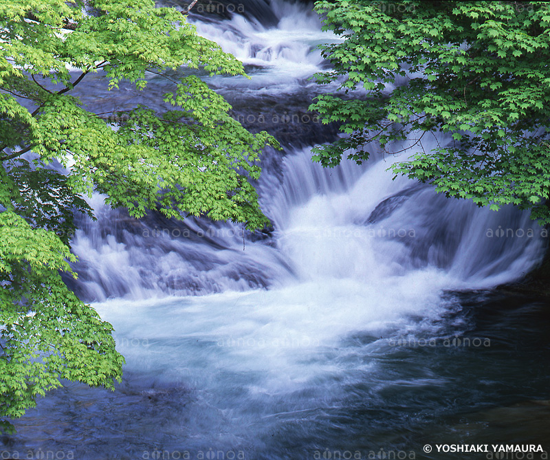 渓流　福島県　5月