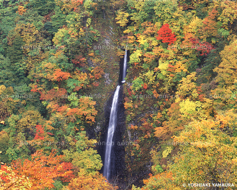 つむじくらの滝　福島県　10月