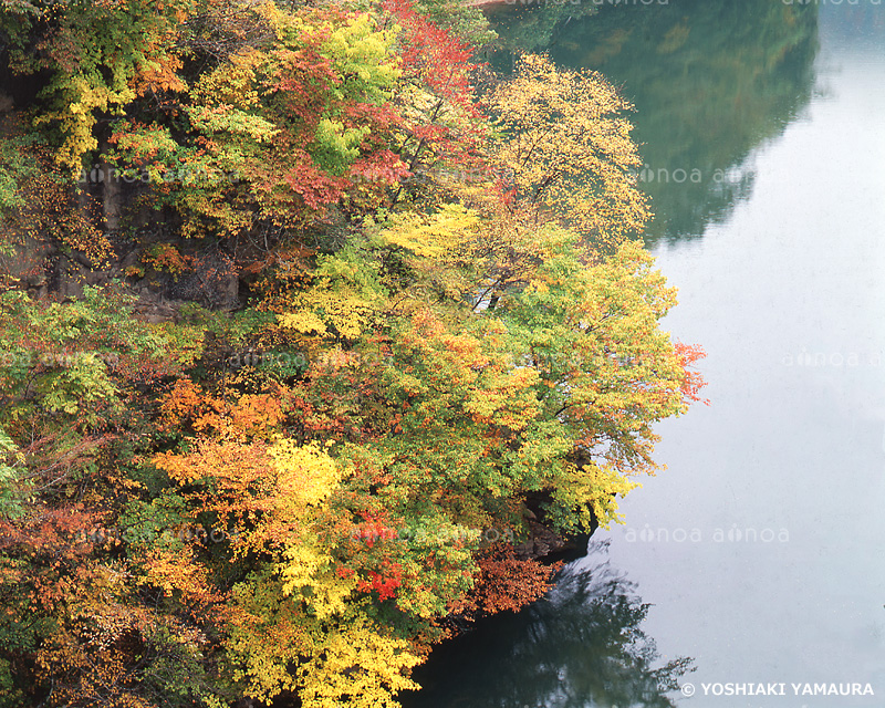 只見川　福島県　10月