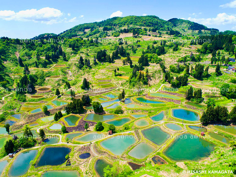 山古志の棚田　養魚池　　ドローン撮影　新潟県　5月