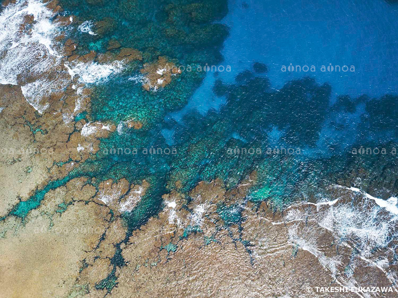 用海岸のサンゴ礁　奄美群島国立公園　奄美大島　ドローン撮影　鹿児島県　3月
