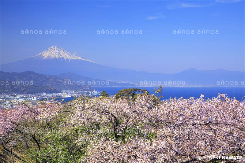 日本平夢テラス　静岡県