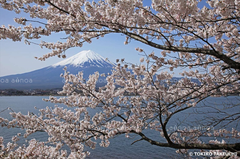 田貫湖　静岡県