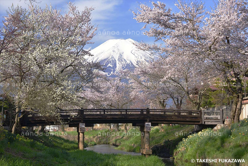 お宮橋より　山梨県