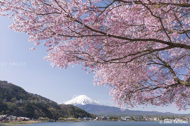 河口湖　山梨県