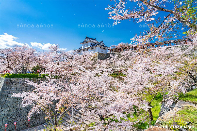 津山城跡　岡山県