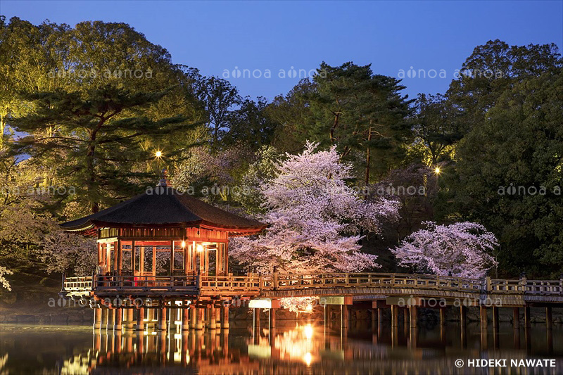 奈良公園の浮御堂　奈良県