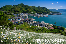 富田文雄