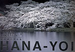 五島健司写真集「櫻酔い　HANA-YOI」