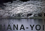五島健司写真集「櫻酔い HANA-YOI」